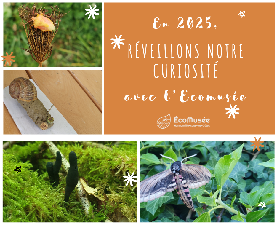 ecomusée hannonville - illustration_2
